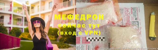 мдпв Ельня